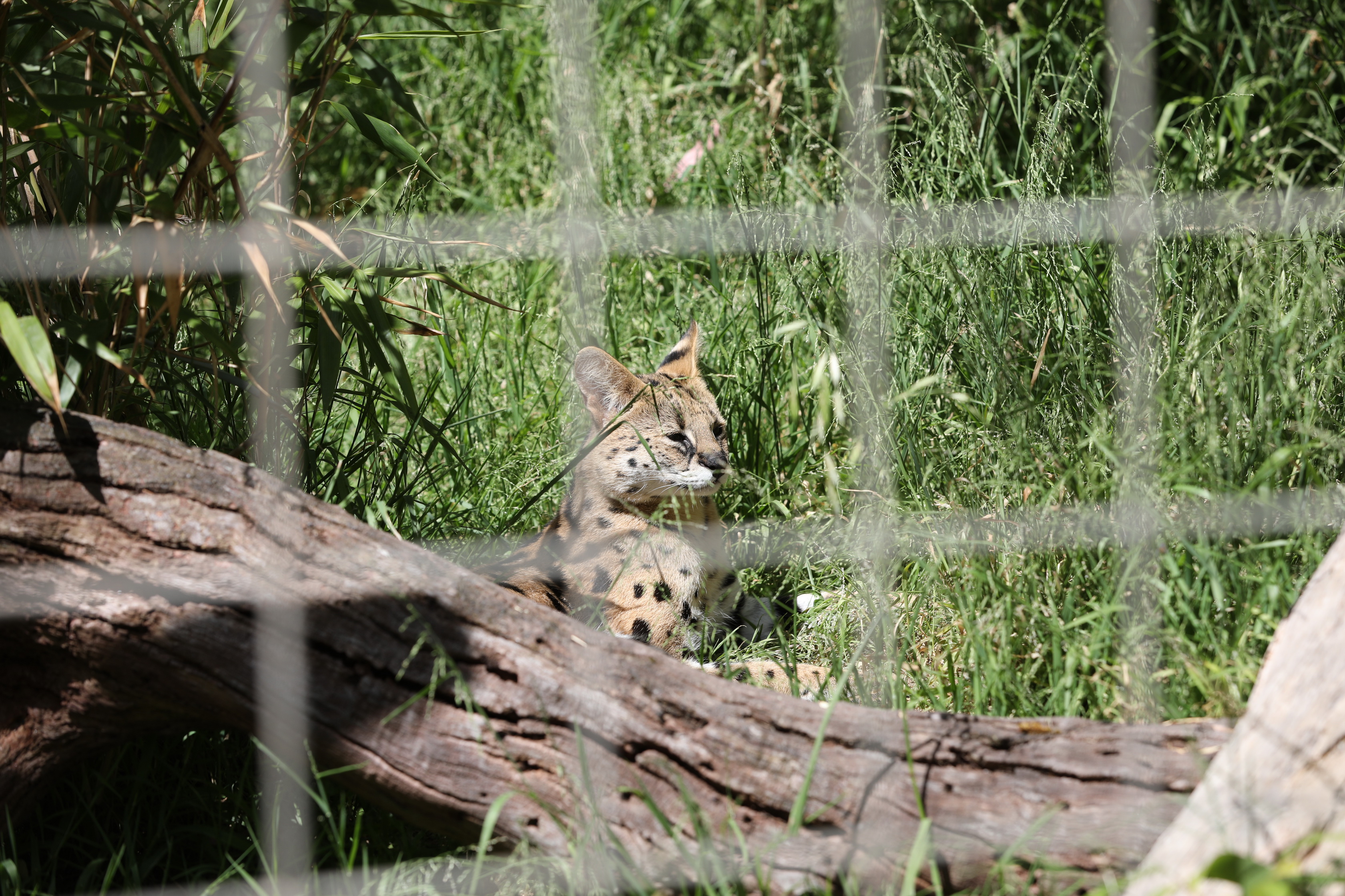 2019 11 22 15 28 33 Canon EOS 5D Mark IV 0020